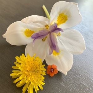 Meet your Posher, Hang